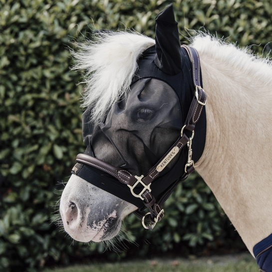 Shetty fly mask