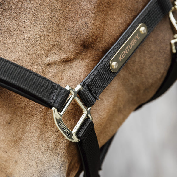 Kentucky Halter