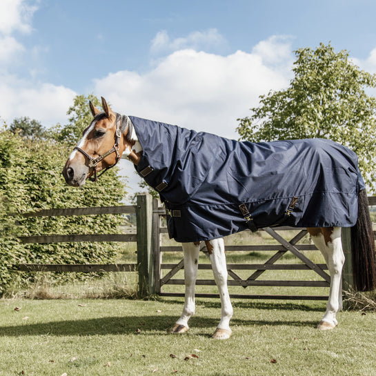 0 gram turnout rug for horses