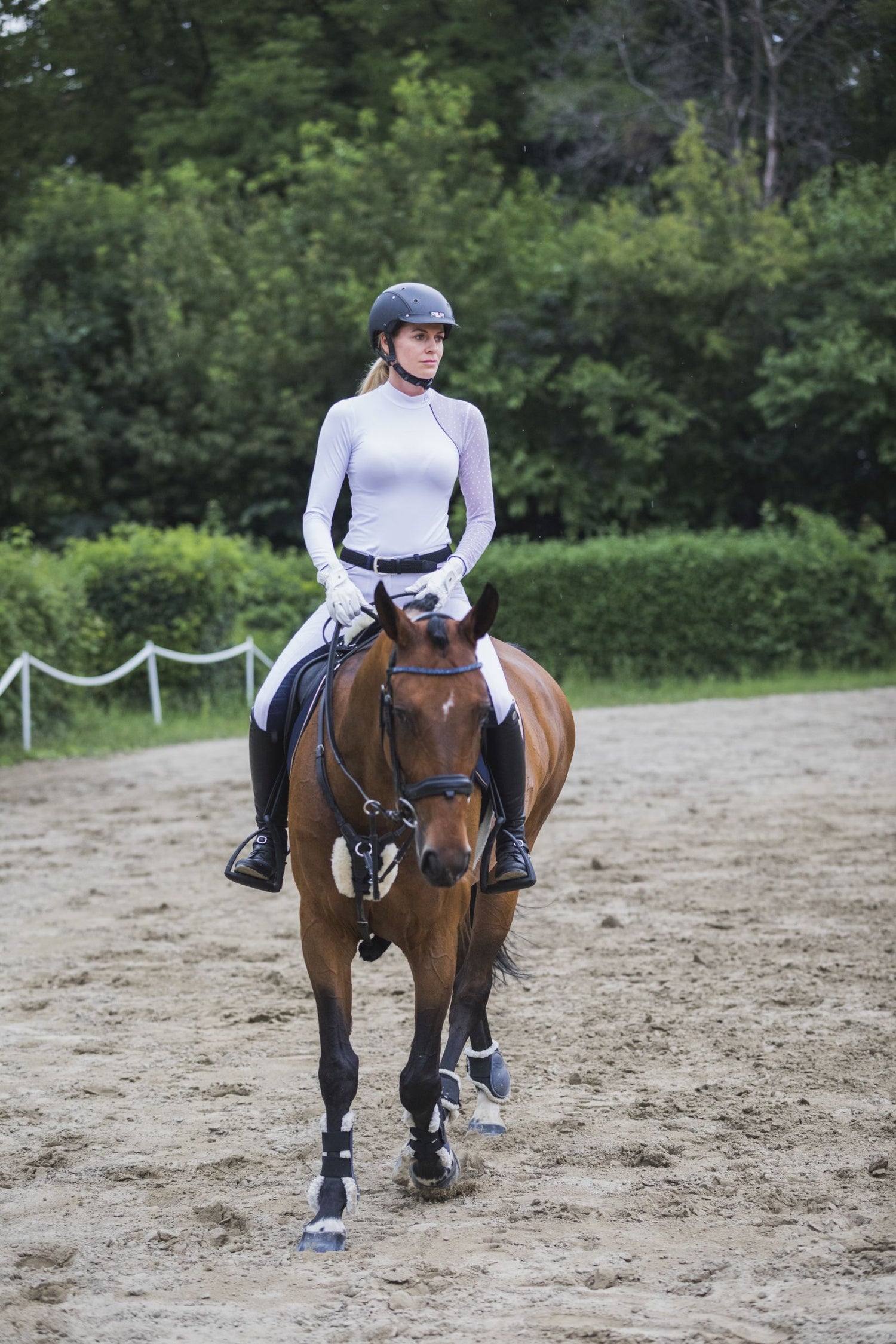 Cavalliera black navy white bordeaux show shirt competition shirt equestrian women apparel horses