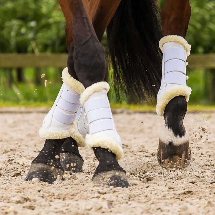 Brushing boots with sheepskin