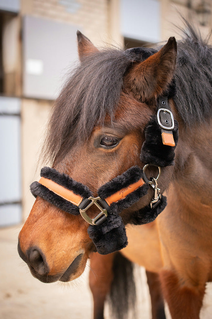 pony halter with sheepskin