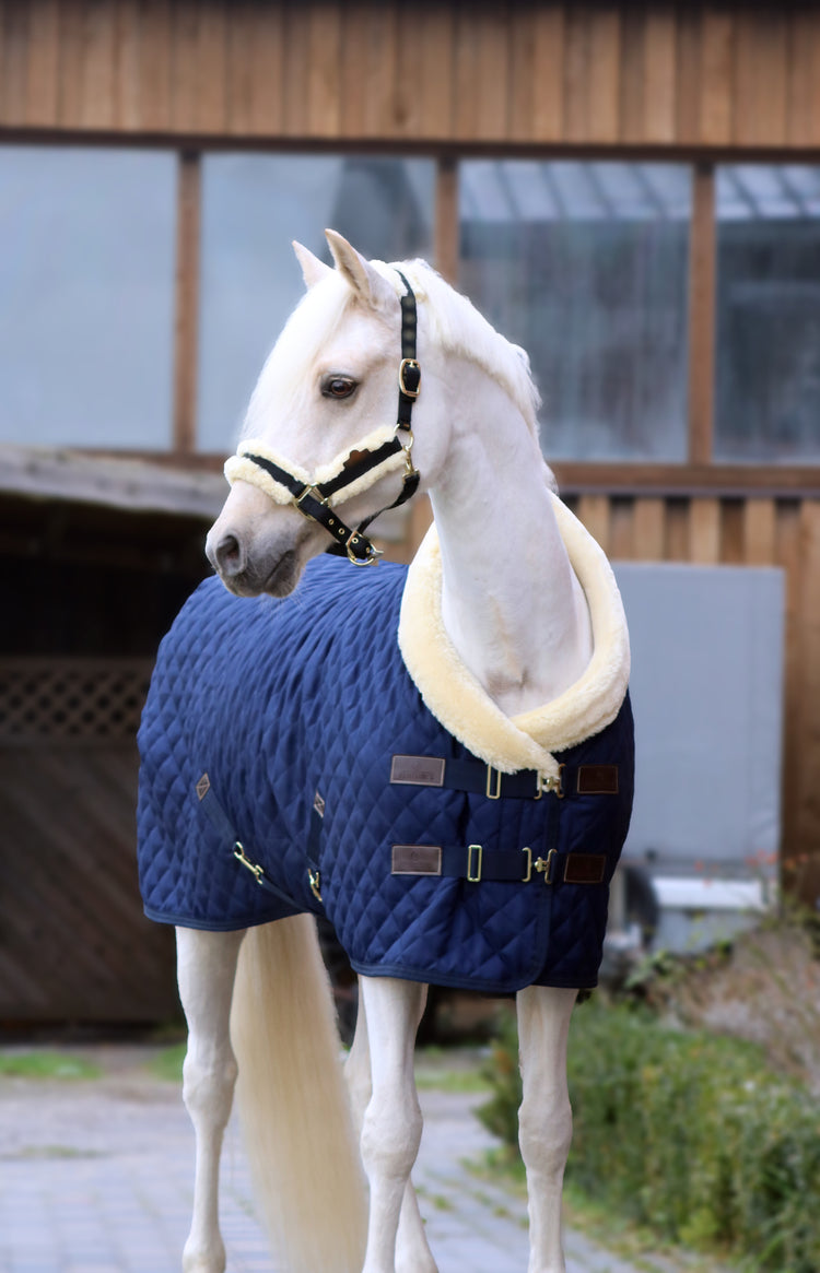 Kentucky Horsewear Navy Rug