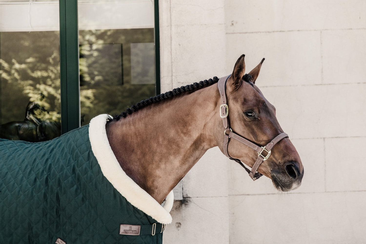 Kentucky Horsewear Green Rug
