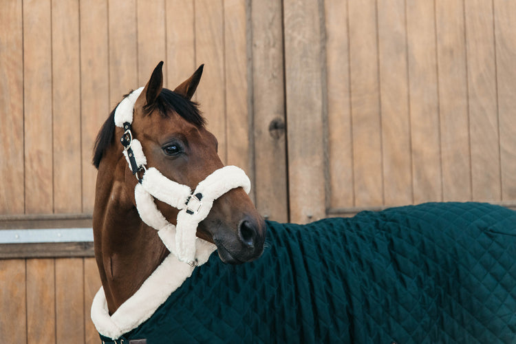 Kentucky Limited Edition Show Rug Dark Green