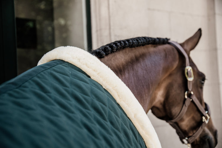 Kentucky Dark Green Show Rug