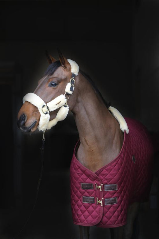 Kentucky Burgundy Stable Rug