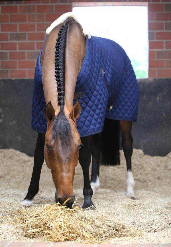 Quilted Stable Rug
