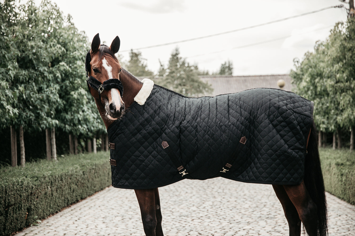 Kentucky stable rug 400g