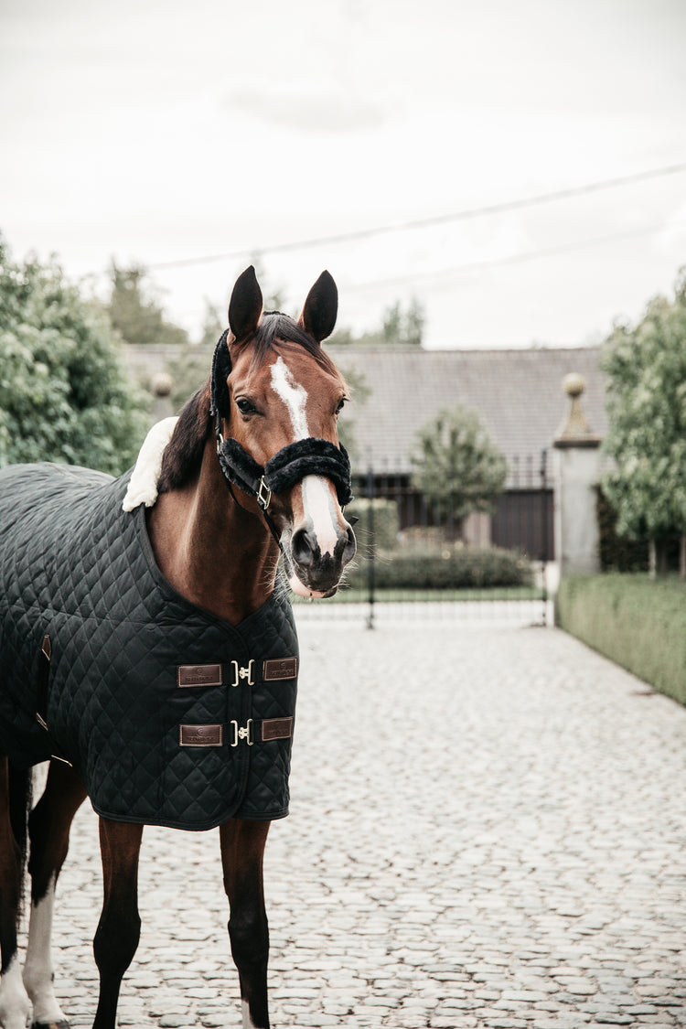 Kentucky Stable rugs