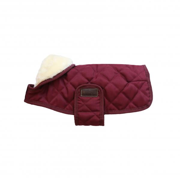 Bordeaux Dog Coat
