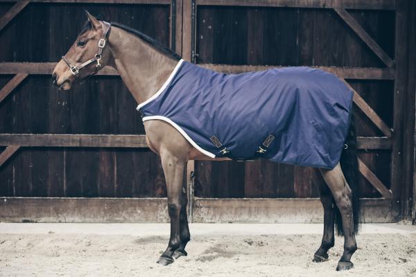 Waterproof Walker Rug