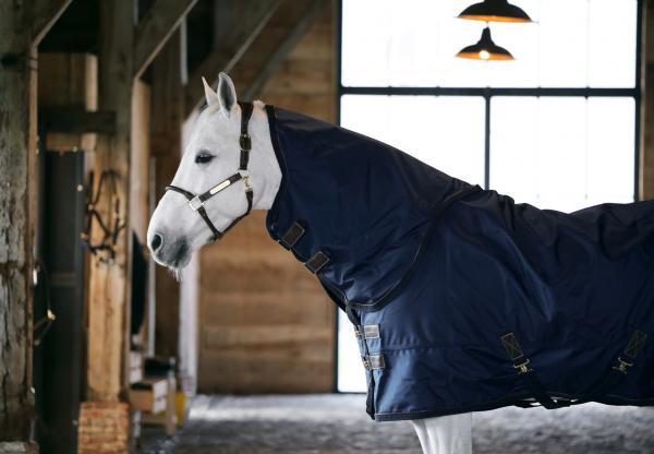 Heavy outdoor rug for horses
