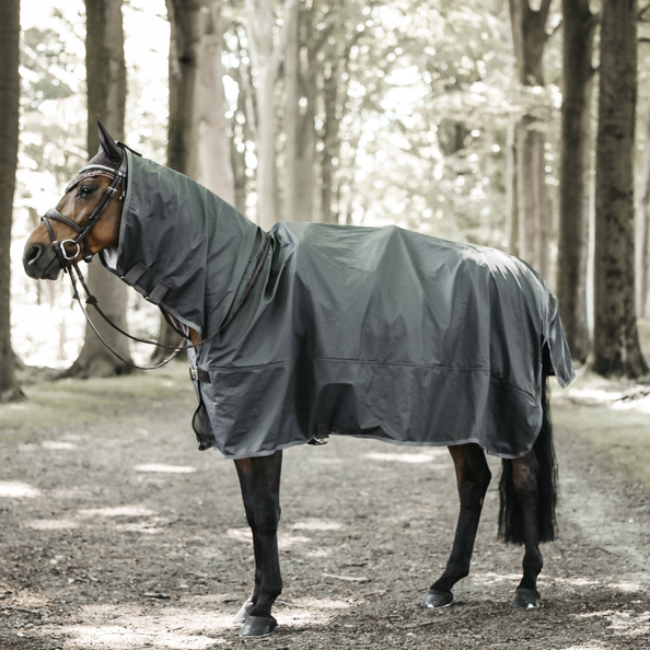 Show rain rug