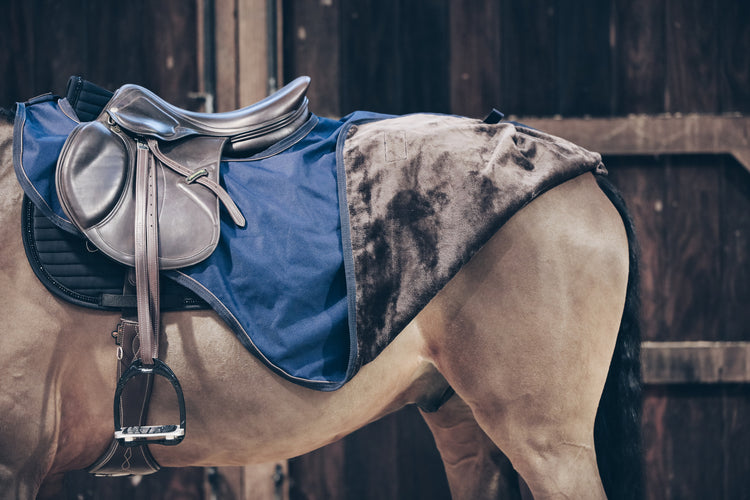 Waterproof Winter Riding Rug