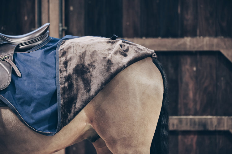 Horse Rug for riding in winter 