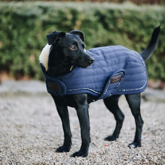 Kentucky Dog Coat