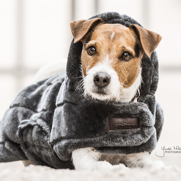 Kentucky Dog Coat Fake Fur