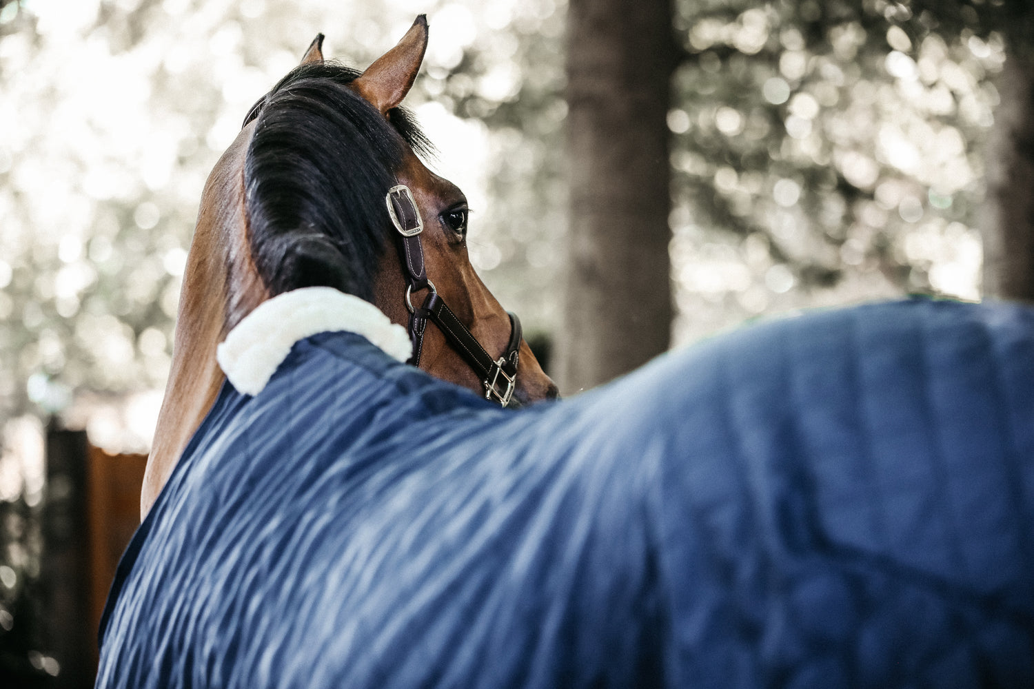 Kentucky lightweight Stable Rug