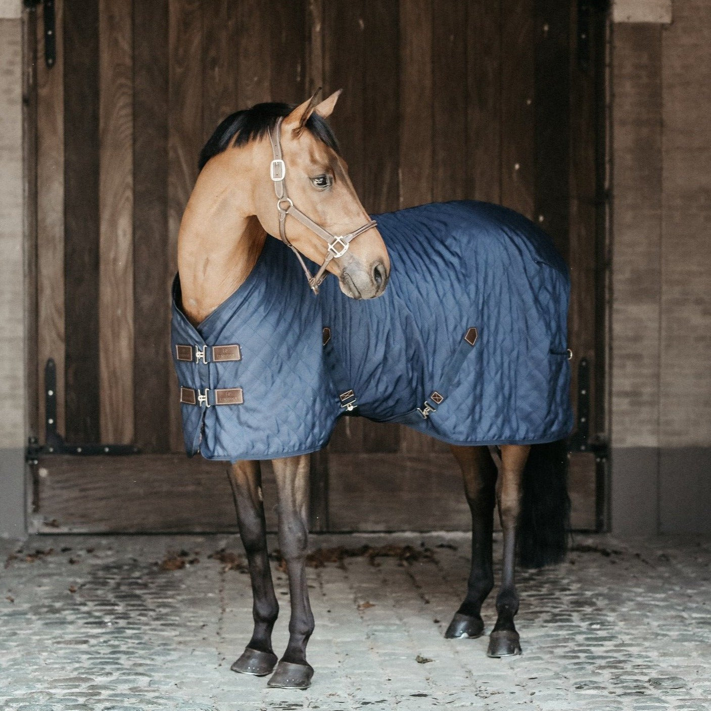 0 gram stable rug