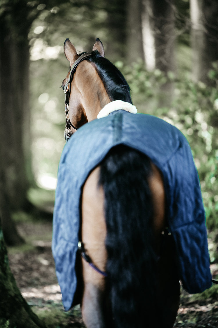 Under rug for sensitive horses