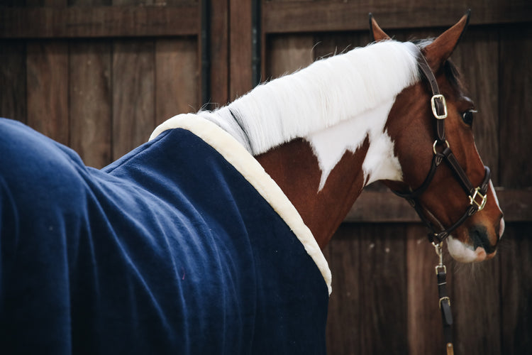 Best Heavy Cooler Rug for horses