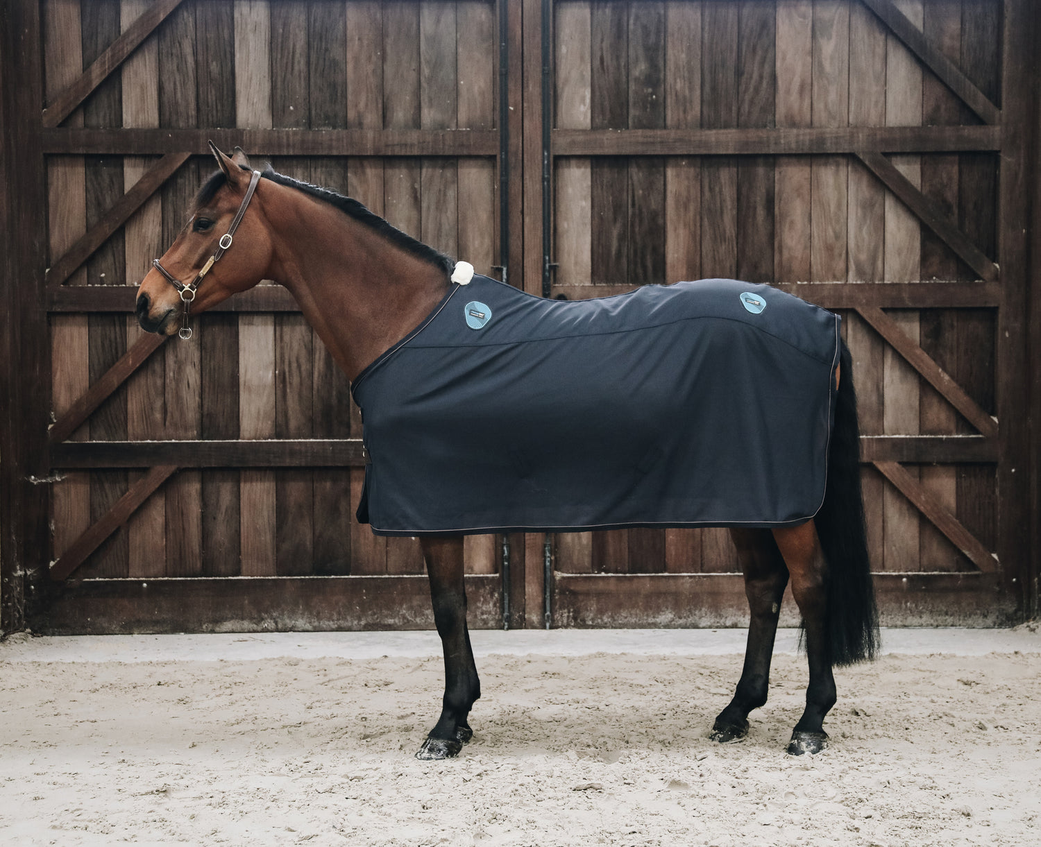 Magnetic Horse Rug