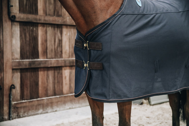 magnetic rug for horse