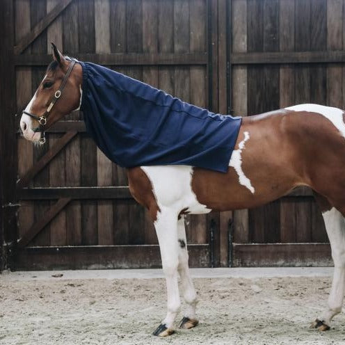 Kentucky Neck Cooler Rug