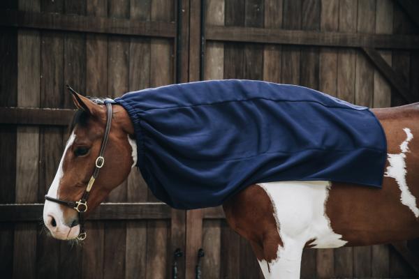 Kentucky Horse scarf