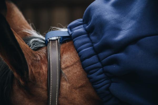 Polar fleece horse neck rug