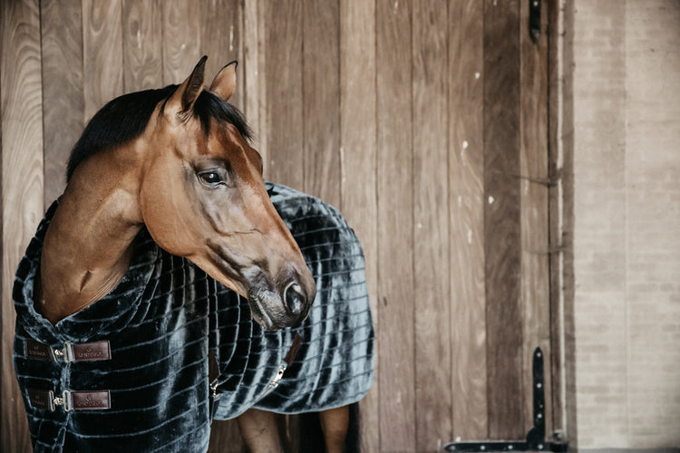 Kentucky Horsewear Rug