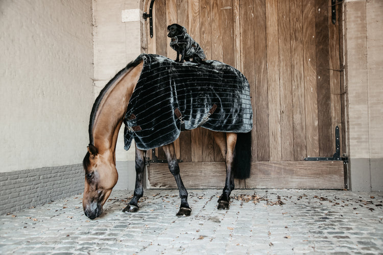 Kentucky Horsewear Show Rug