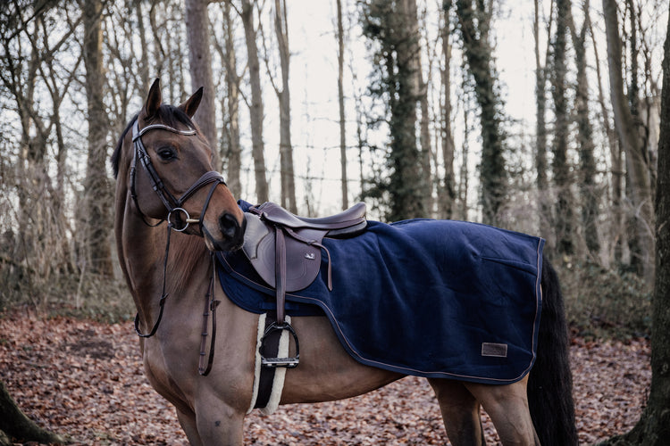 kentucky riding rug heavy fleece