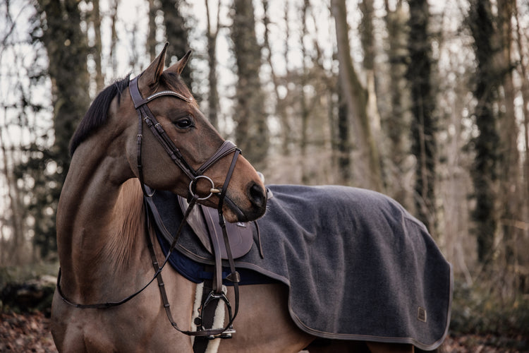 Horse exercise sheet fleece