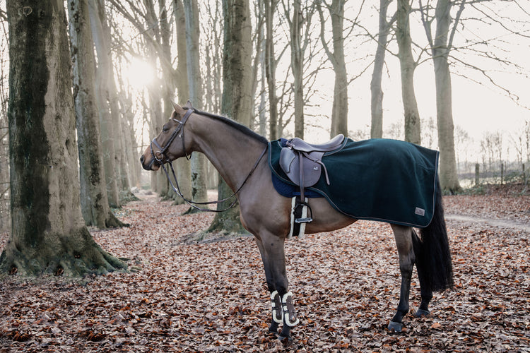 Kentucky Horsewear Riding Rugs