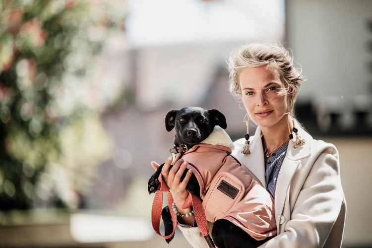 Rain coat for dogs