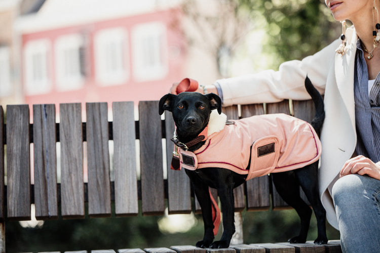 Warm Rain Blanket for dogs