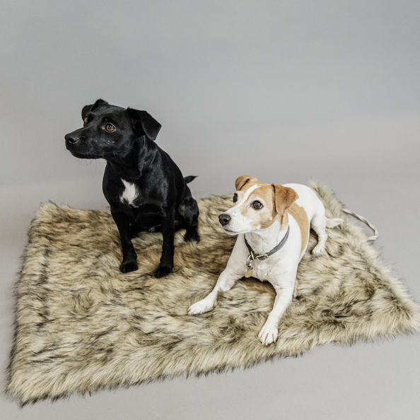 Luxurious travel dog bed
