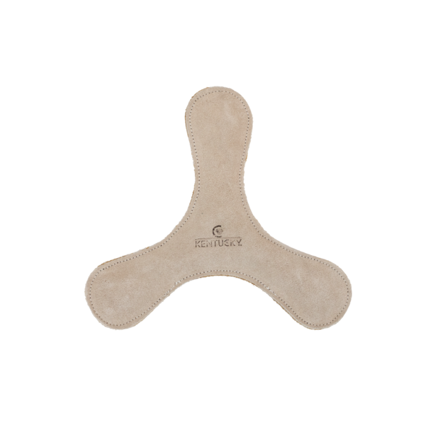 Dog Toy Boomerang