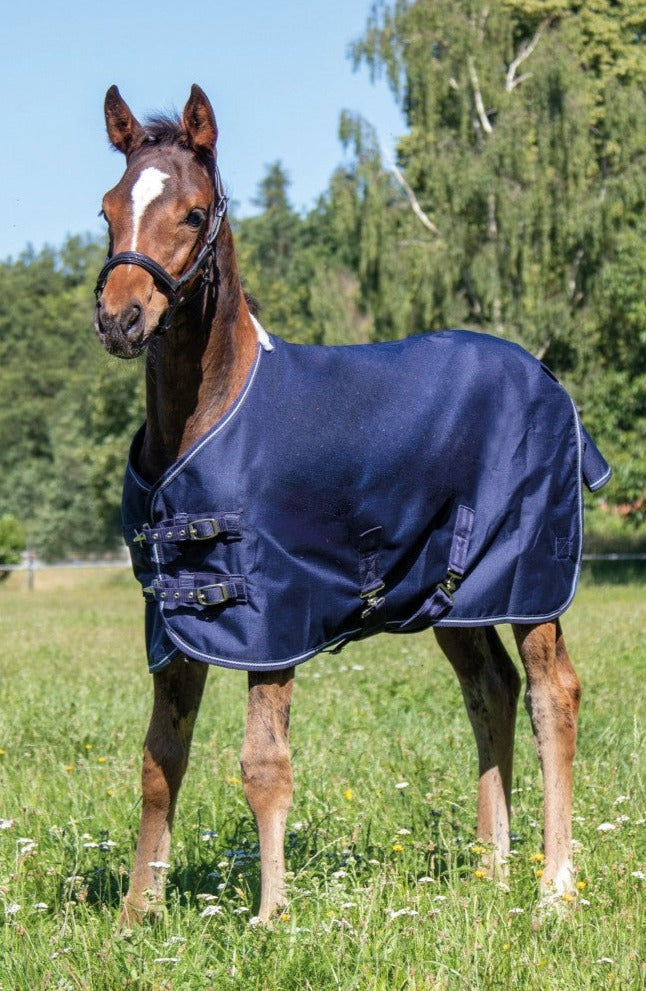 Winter rug for foals