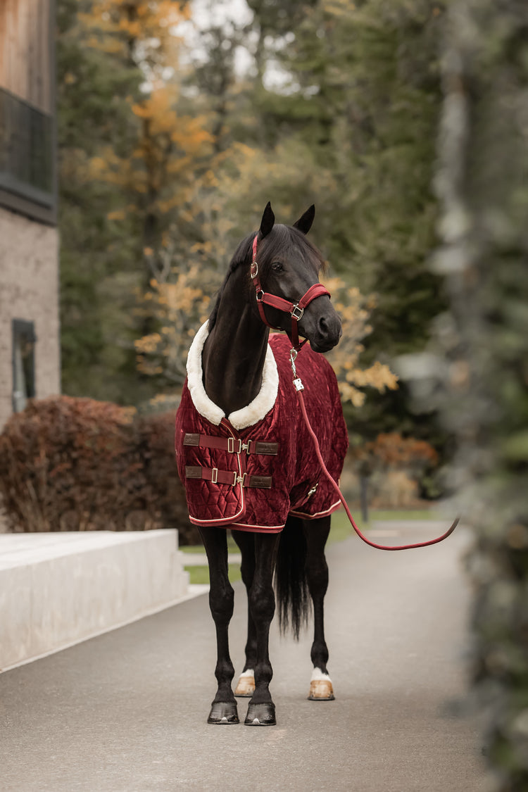 kentucky velvet show rug bordeaux