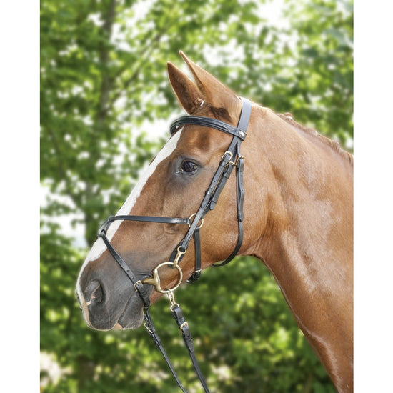 Black leather bridle with brass fittings