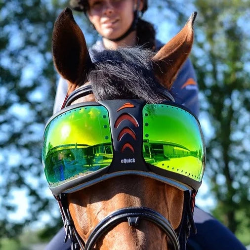 horse eye problems head shaking uv protection