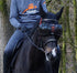 Horse Eye protection