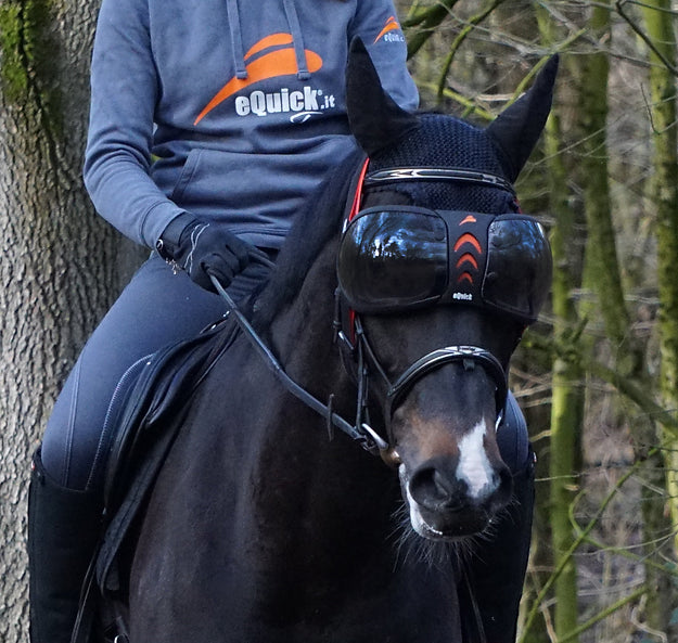 Horse Eye protection