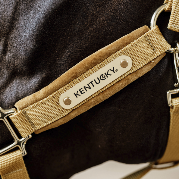 Headcollar name plate