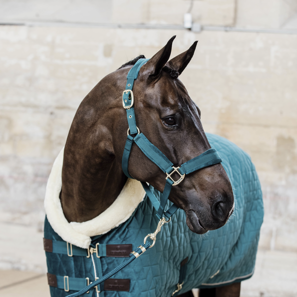 Kentucky Velvet Halter