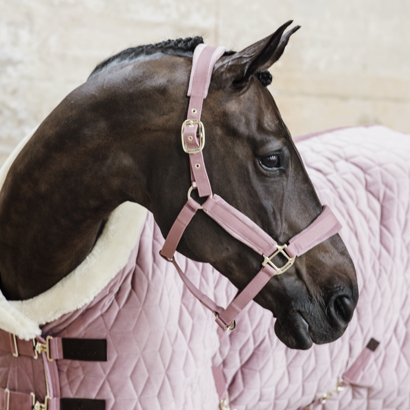 Halter for sensitive horses