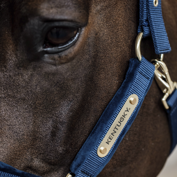 Kentucky Head Collar